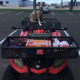 Entry image for Aenie Rose 🌹 