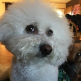 Entry image for Sophie Grace