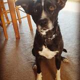 Entry image for Ayla