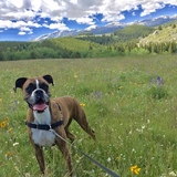 Entry image for Chloe