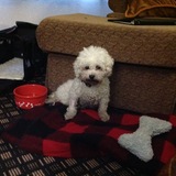 Entry image for Emma