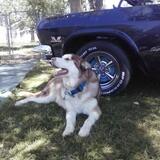 Entry image for Hercules