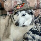 Entry image for SkyLo Blue 