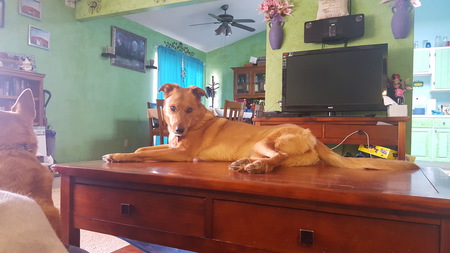 Entry image for Kaileena. Clicking this image will show a larger photo