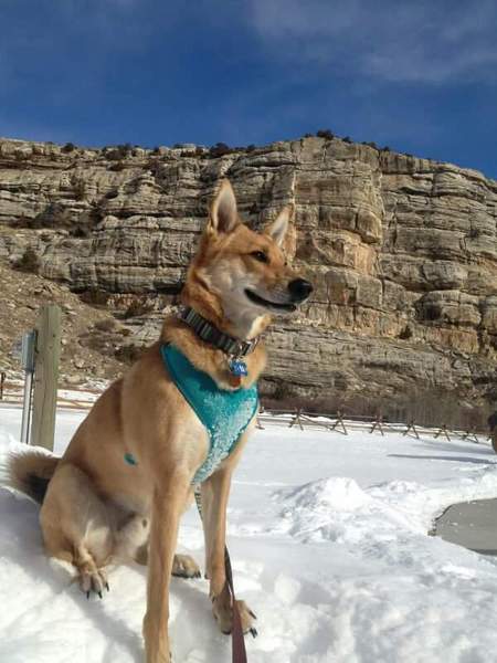 Entry image for Samuel Landon. Clicking this image will show a larger photo