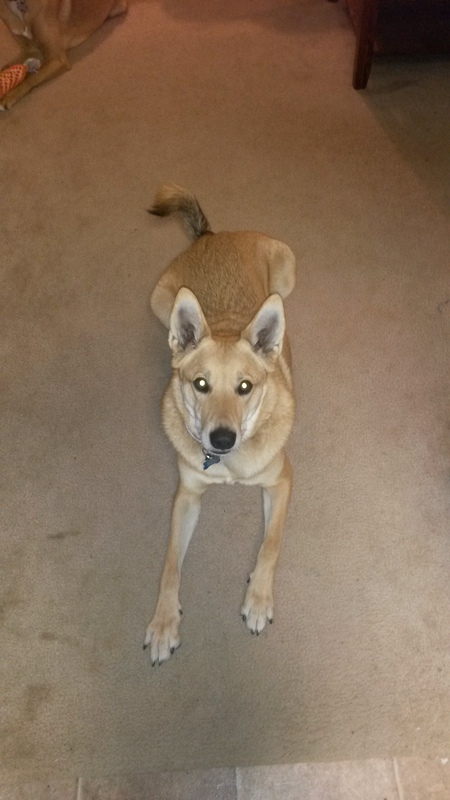 Entry image for Samuel Landon. Clicking this image will show a larger photo