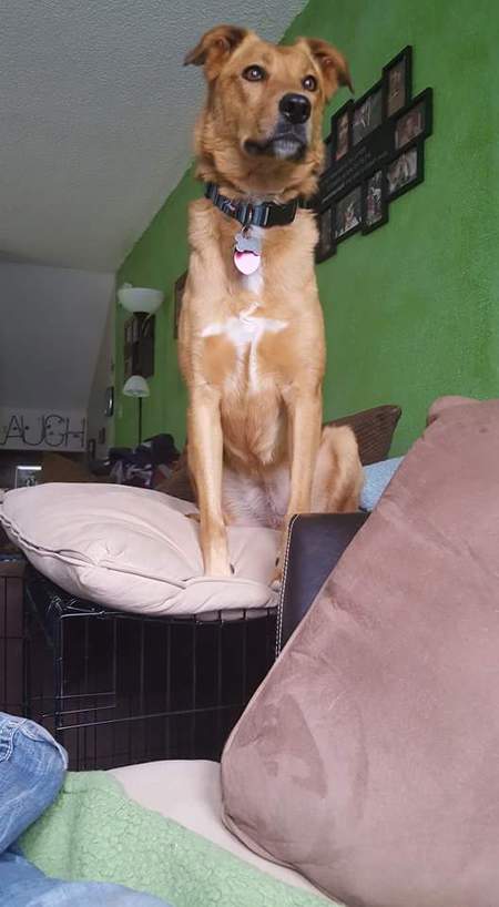 Entry image for Kaileena. Clicking this image will show a larger photo