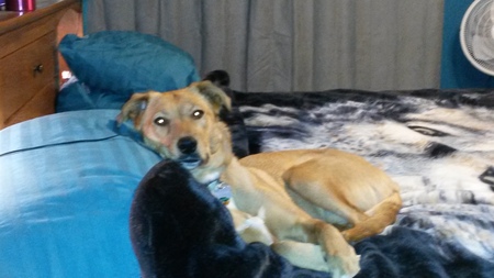 Entry image for Kaileena. Clicking this image will show a larger photo