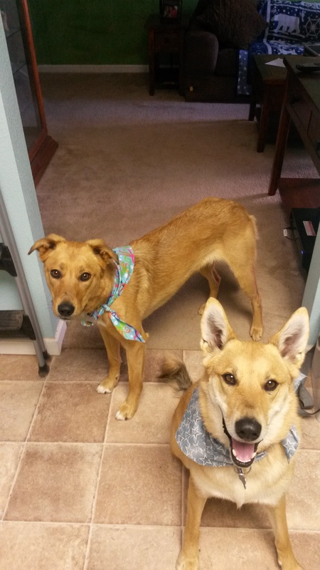 Entry image for Kaileena and Samuel Landon. Clicking this image will show a larger photo