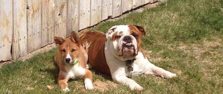 Entry image for Duke & Felony. Clicking this image will show a larger photo