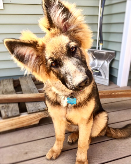 Entry image for Minna. Clicking this image will show a larger photo