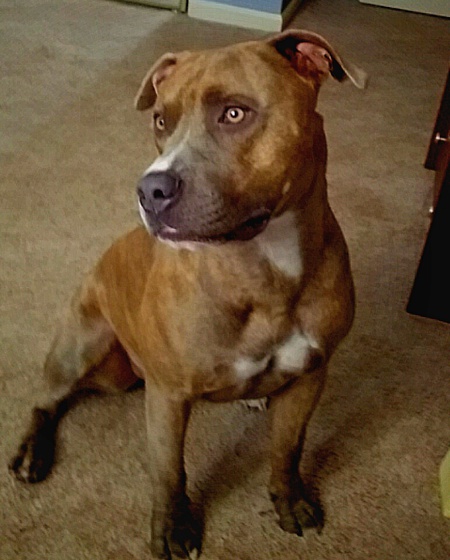 Entry image for Blue. Clicking this image will show a larger photo