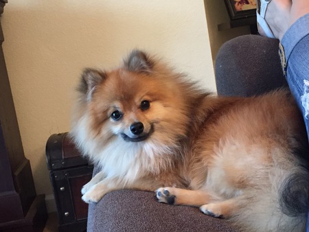 Entry image for Carlos. Clicking this image will show a larger photo