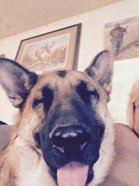 Entry image for Reno . Clicking this image will show a larger photo