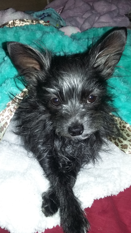 Entry image for Khloe. Clicking this image will show a larger photo