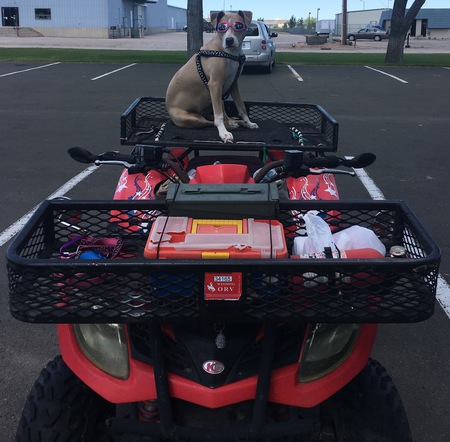 Entry image for Aenie Rose 🌹 . Clicking this image will show a larger photo