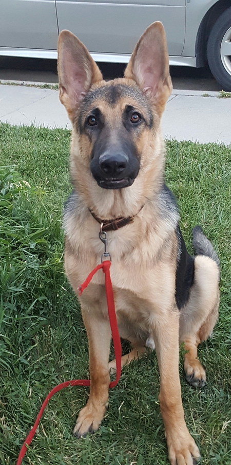 Entry image for Jake. Clicking this image will show a larger photo