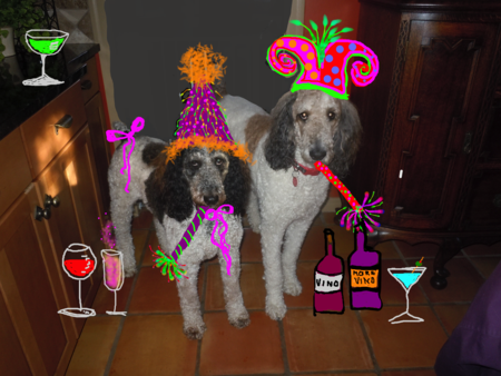 Barney & Millie Party Poodles