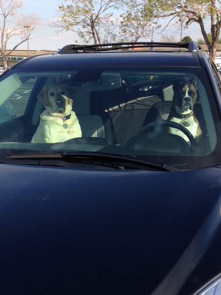 Nelly & Otis