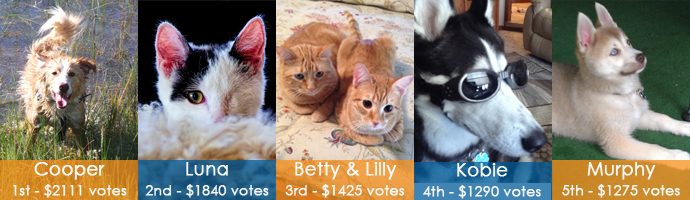 2015 Pet Photo Contest Vote Winners