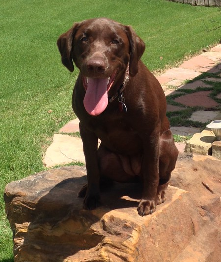 Charlie