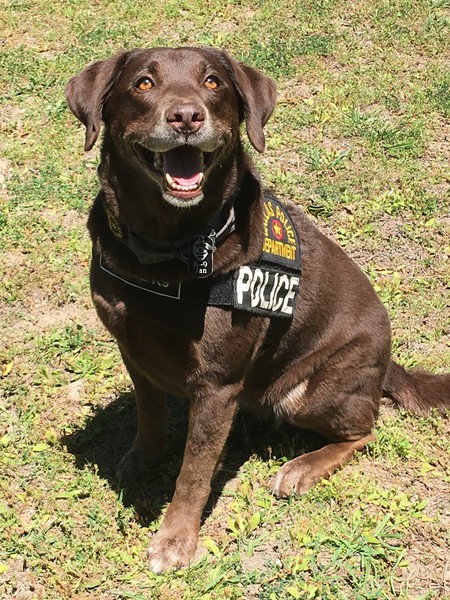 K9 Jan 