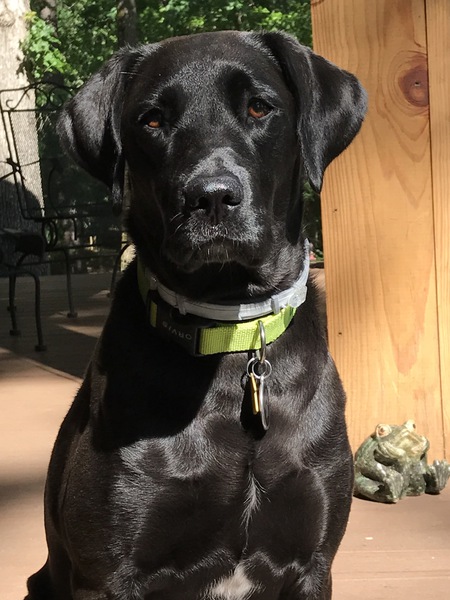 Maggie 