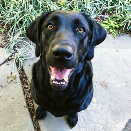 Winnie