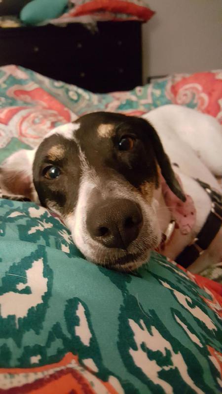 Minnie