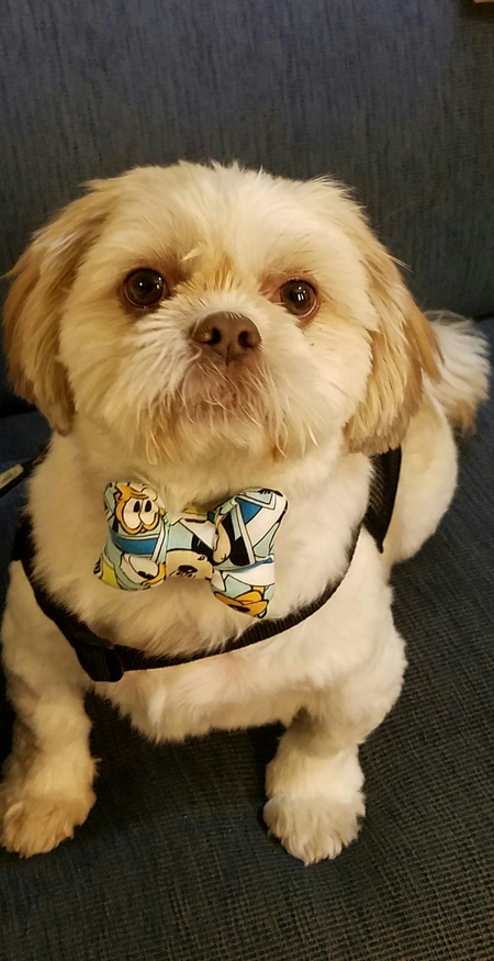 Mickey