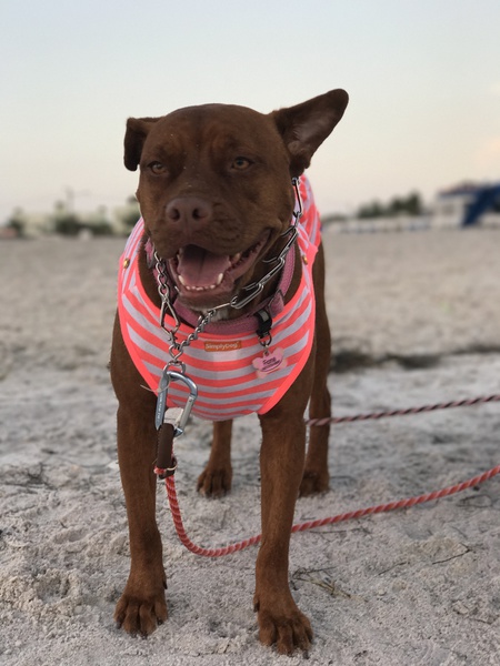 Fiona