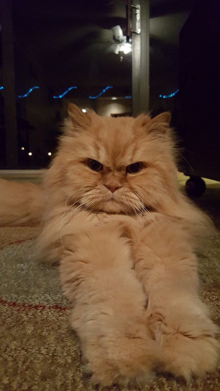 Nilo