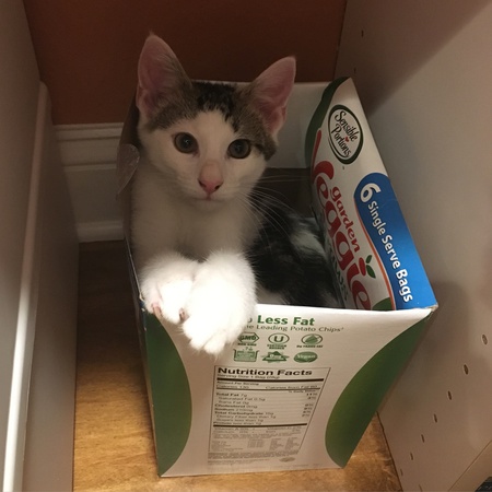 Marvin