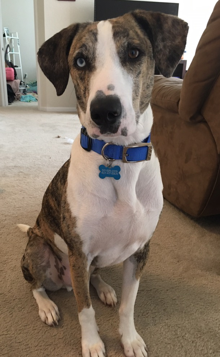 Waylon 