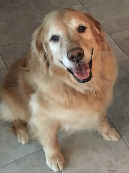 Maggie
