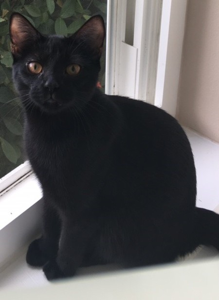 Chloe