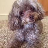 Entry image for Malik Baldwin