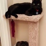 Entry image for Zeke & Winky