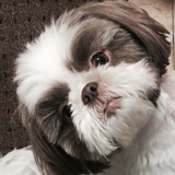 Entry image for Maya Angel