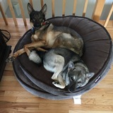 Entry image for Violet and Max