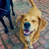 Entry image for Maddie