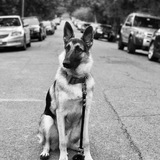 Entry image for Tahoe 