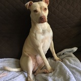 Entry image for Cailee