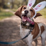 Entry image for Georgie