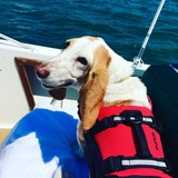 Entry image for Millie