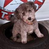 Entry image for Halle Berry