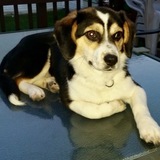 Entry image for Khloe 