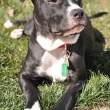 Entry image for Mason