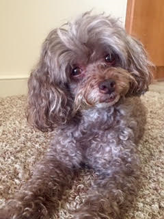 Entry image for Malik Baldwin. Clicking this image will show a larger photo