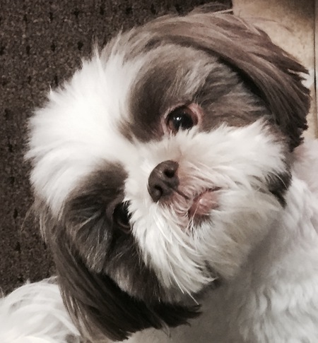 Entry image for Maya Angel. Clicking this image will show a larger photo